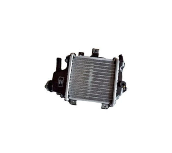 19100-KWN-900-OE (RADIATOR ASSY-PCX)