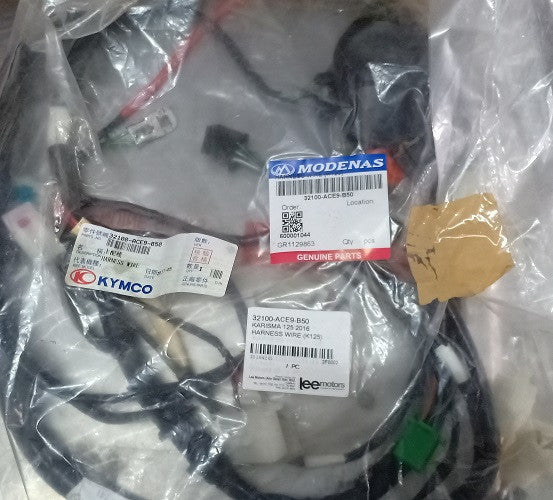 32100-ACE9-B50-HARNESS WIRE (KARISMA 125)