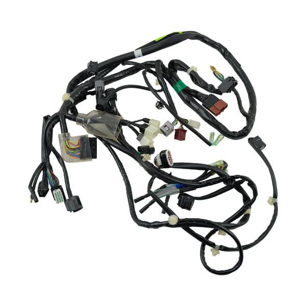 HARNESS,WIRE-VARIO125