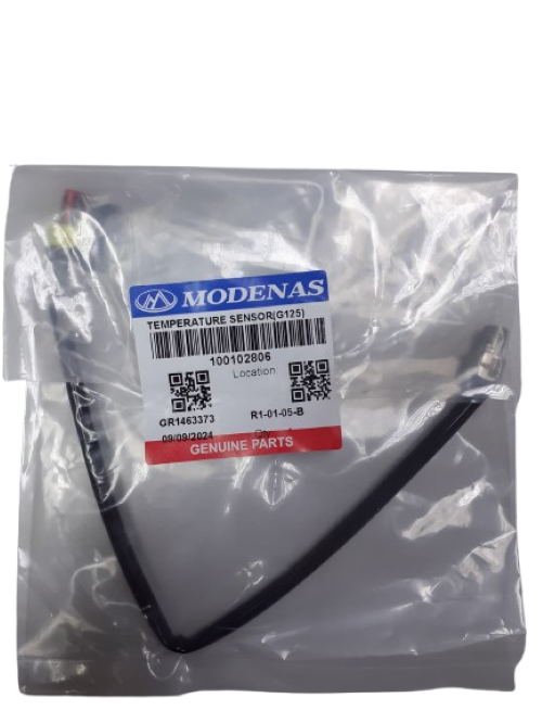 TEMPERATURE SENSOR(G125)