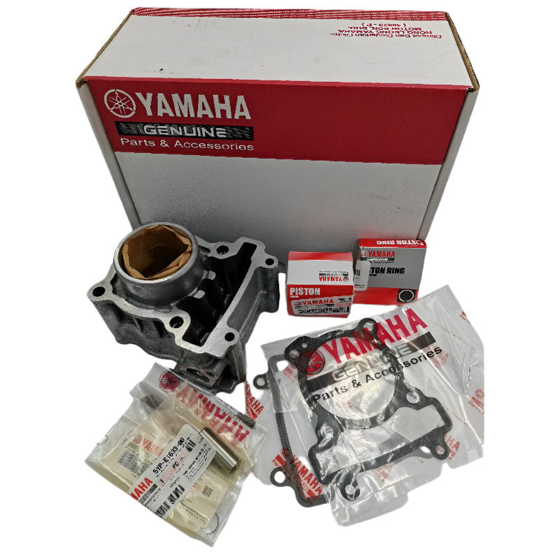 50C-WE13E-00-CYLINDER SET KIT 1-135LCSE