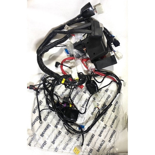 WIRE HARNESS ASSY.AHO-RFS150i