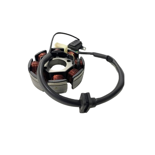 100733998-0001-STATOR ASSY MAGNETO-DC