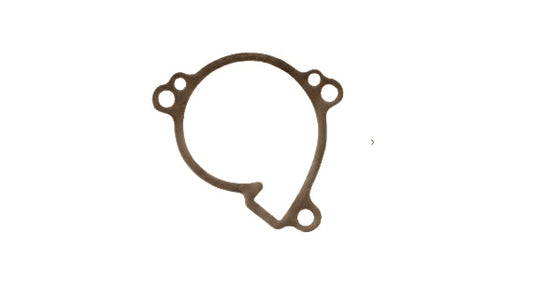 13119-KLX250 (WATER PUMP GASKET)