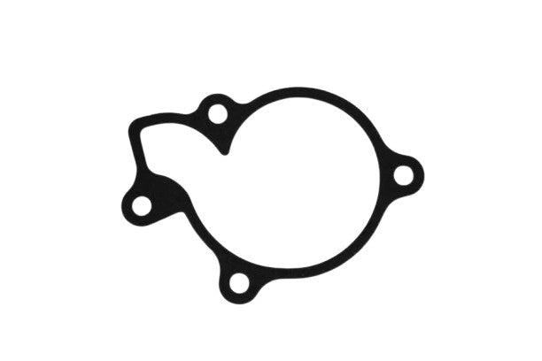 13119-RFS150i-SC (WATER PUMP GASKET)