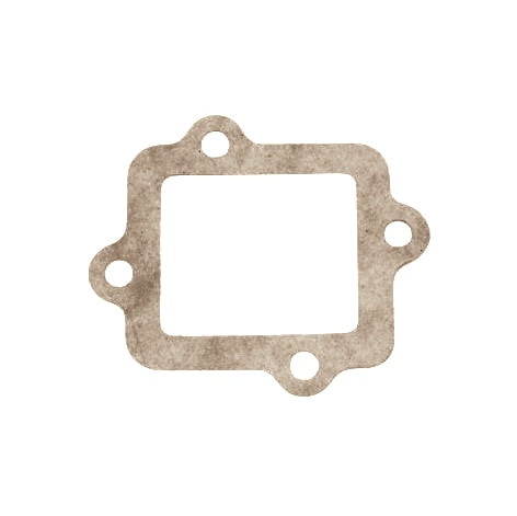 13621-Y110SS (REED VALVE GASKET)