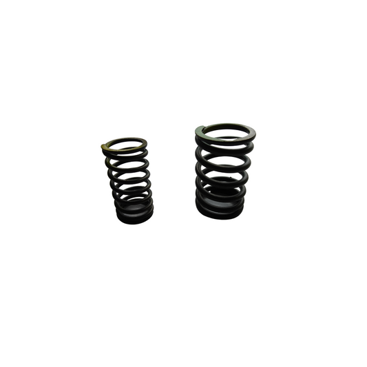 VALVE OUTER & INNER SPRING(P503)