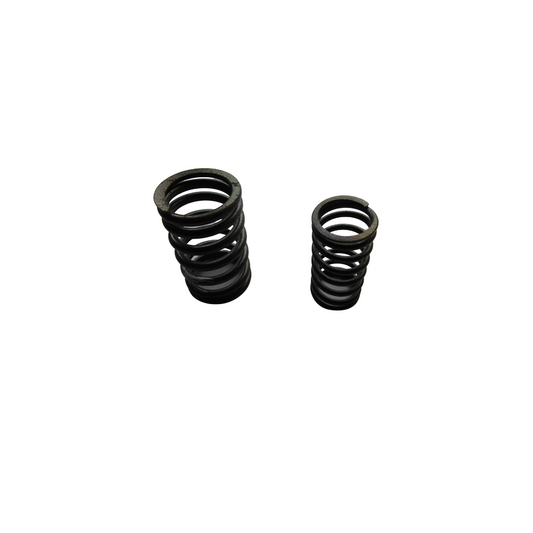 VALVE OUTER & INNER SPRING MB100(P512)