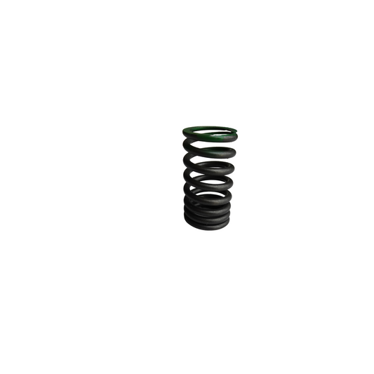 VALVE OUTER SPRING (E1)