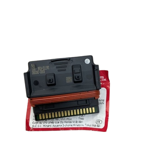 PGM-FI UNIT - RS-X