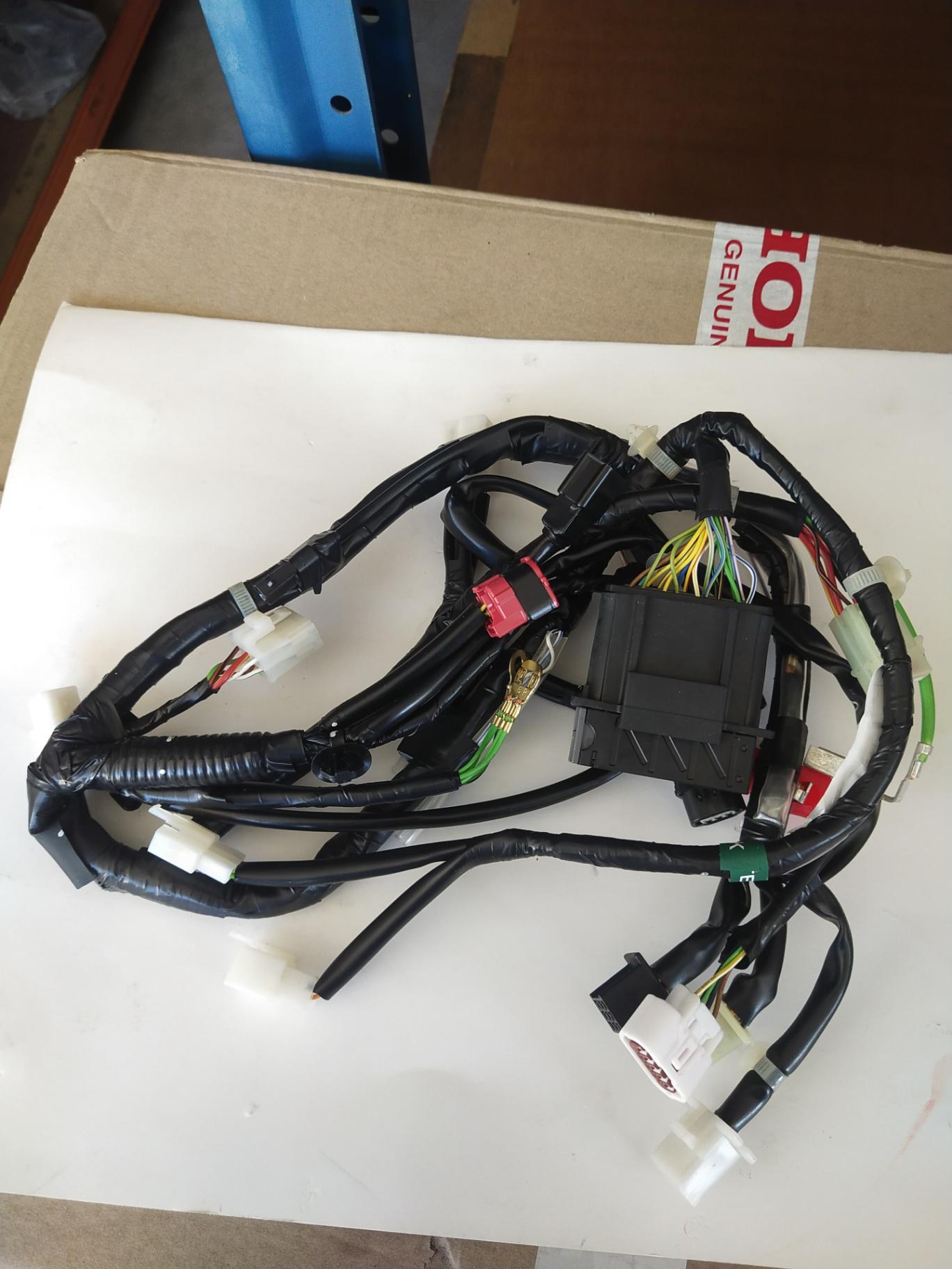 HARNESS,WIRE-DASH125 V5