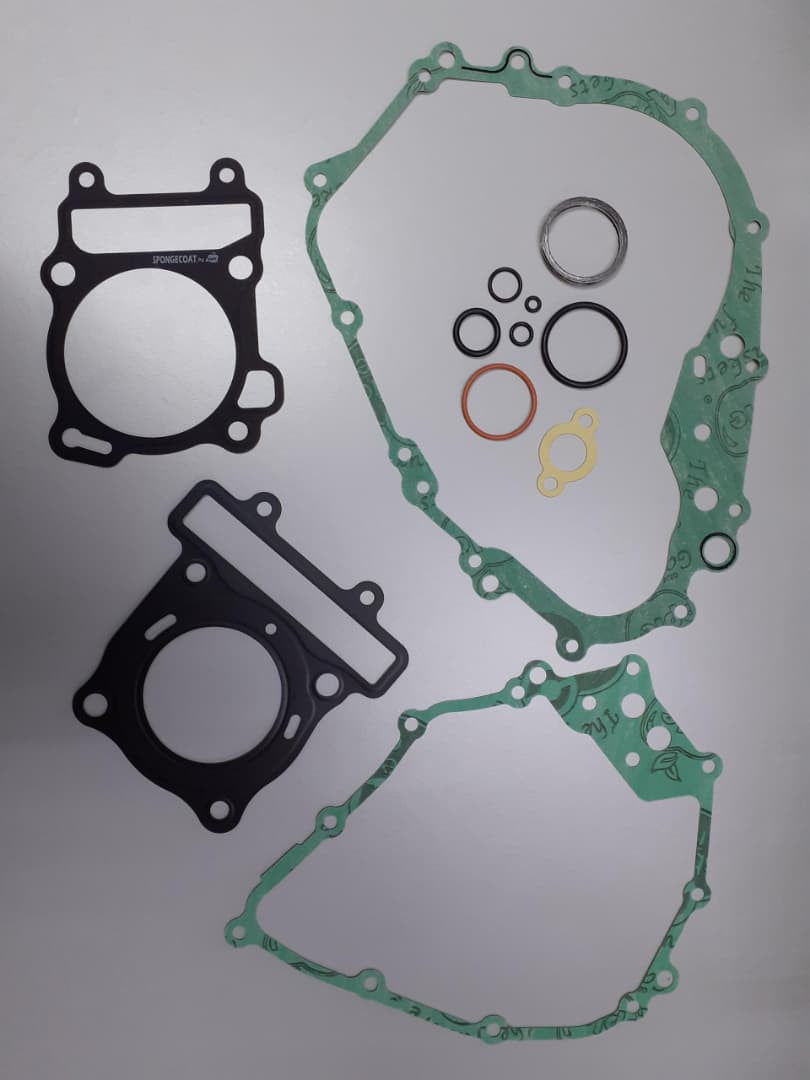 COMPLETE SET - RAIDER-FI