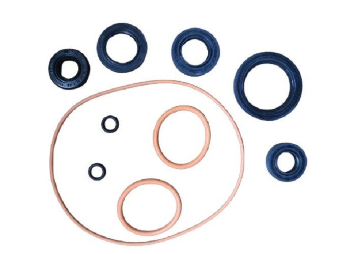 91200-110R-OIL SEAL SET-SM SPORT