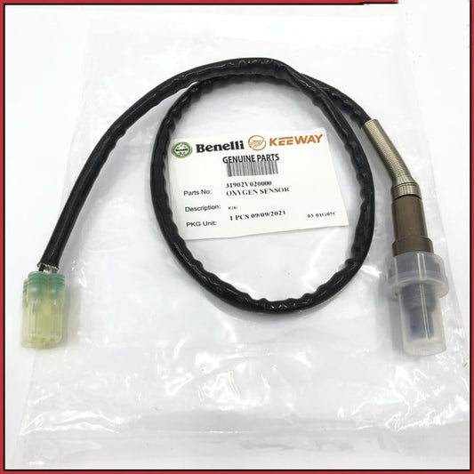 OXYGEN SENSOR-R18i