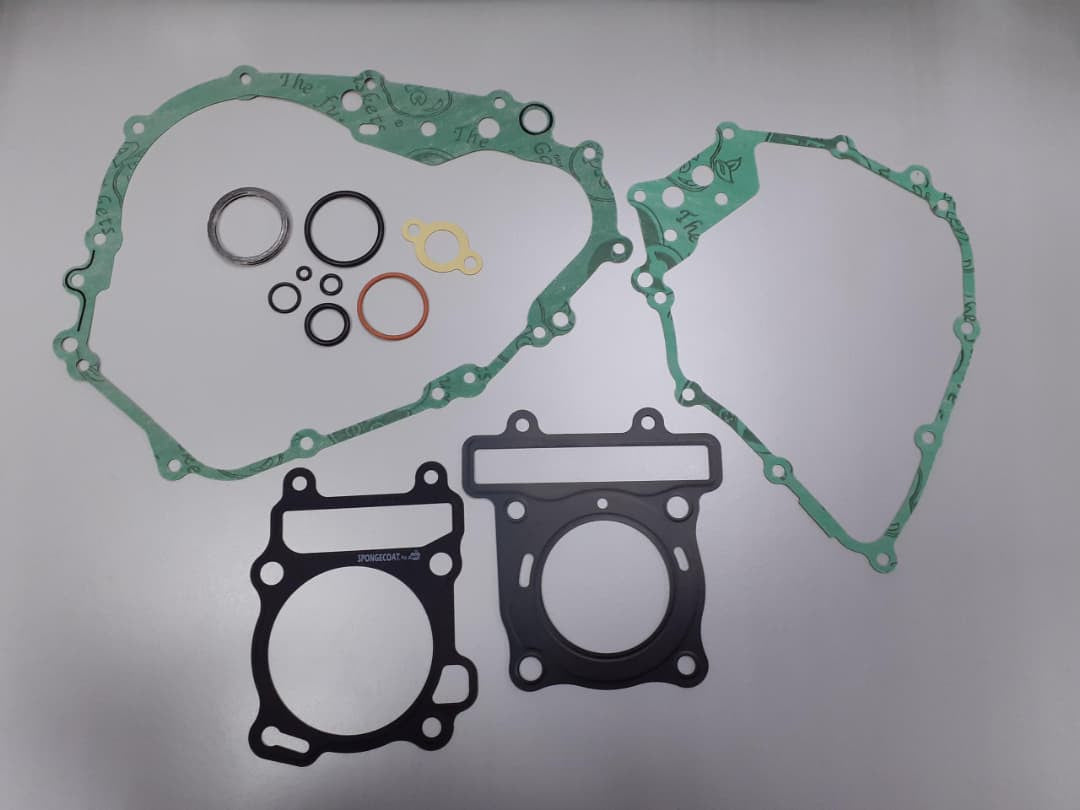 COMPLETE SET - RAIDER-FI