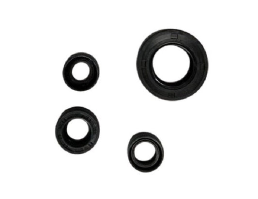 91200-Y15ZR-OIL SEAL SET-T150-B171