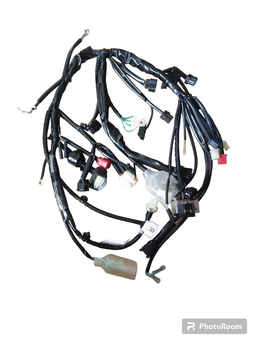 HARNESS,WIRE-RS150R V3