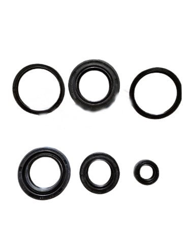 OIL SEAL SET-SN175J