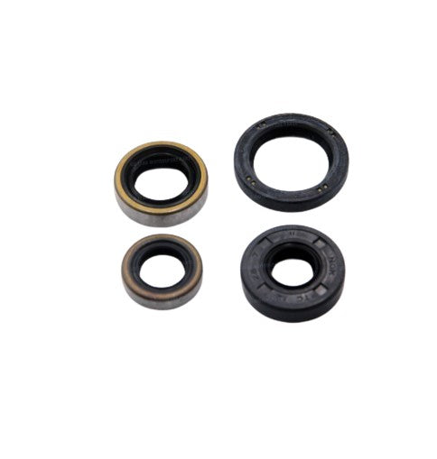 OIL SEAL SET (91200-GT128)