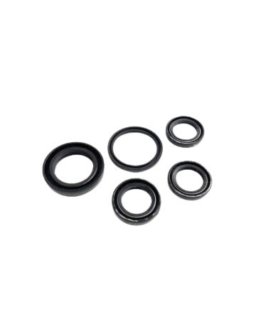 OIL SEAL SET-MZ 125RX