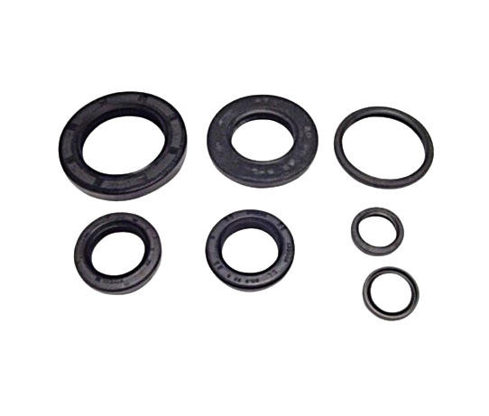 91200-VARIO OIL SEAL SET-WW150D,F,J