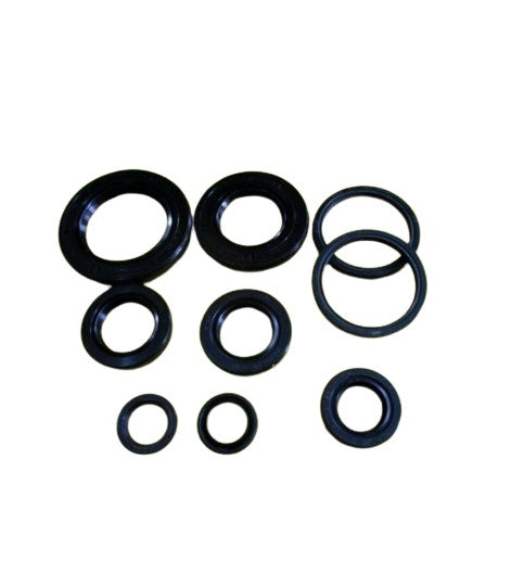 OIL SEAL SET-125I