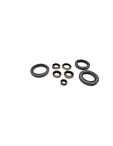 OIL SEAL SET-SYMPHONY 150