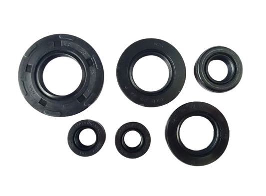 OIL SEAL SET-TS125