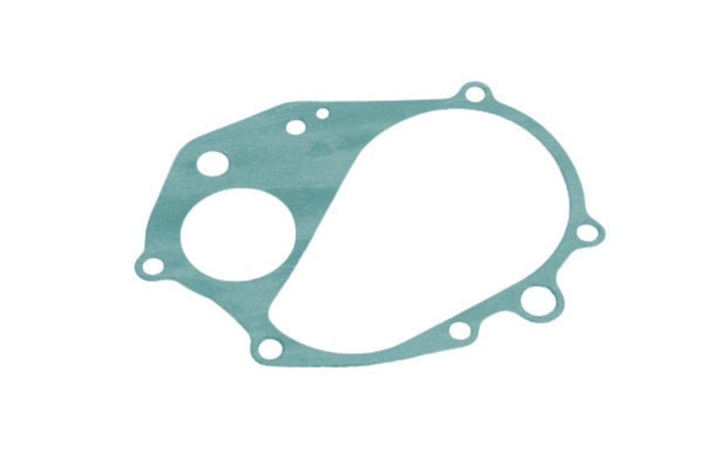 11395-V100 (CRANKCASE GASKET)