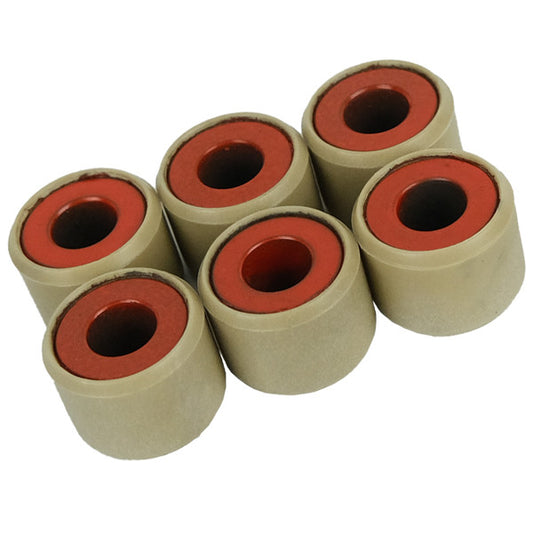 ROLLER SET,WEIGHT (DHARMA)-VARIO160