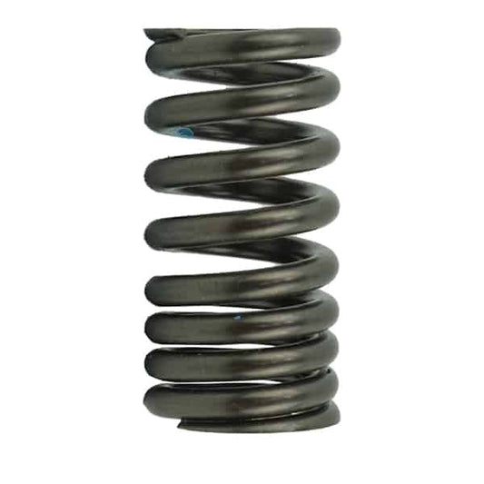 SPRING VALVE SET - RS150R V1-4