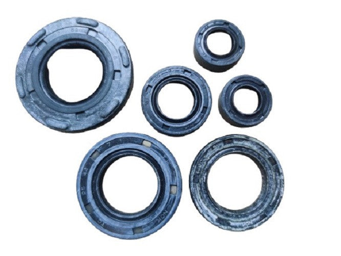 91200-TS100-OIL SEAL SET-TS125