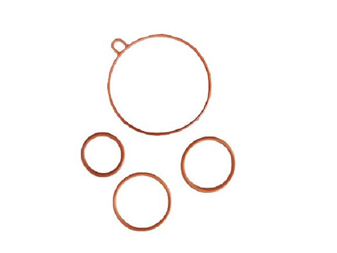 16010-GN5-P05-OE-O-RING SET,FLOAT CHAMBER-EX5