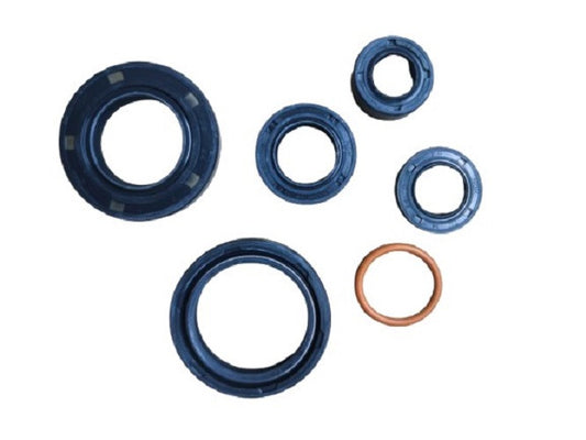 91200-RC80L-OIL SEAL SET-RR SPORT