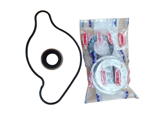 WATER PUMP SEAL SET - RS150R