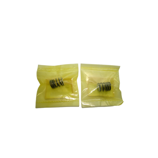 SPRING,VALVE-ICON (2 PCS-SET)