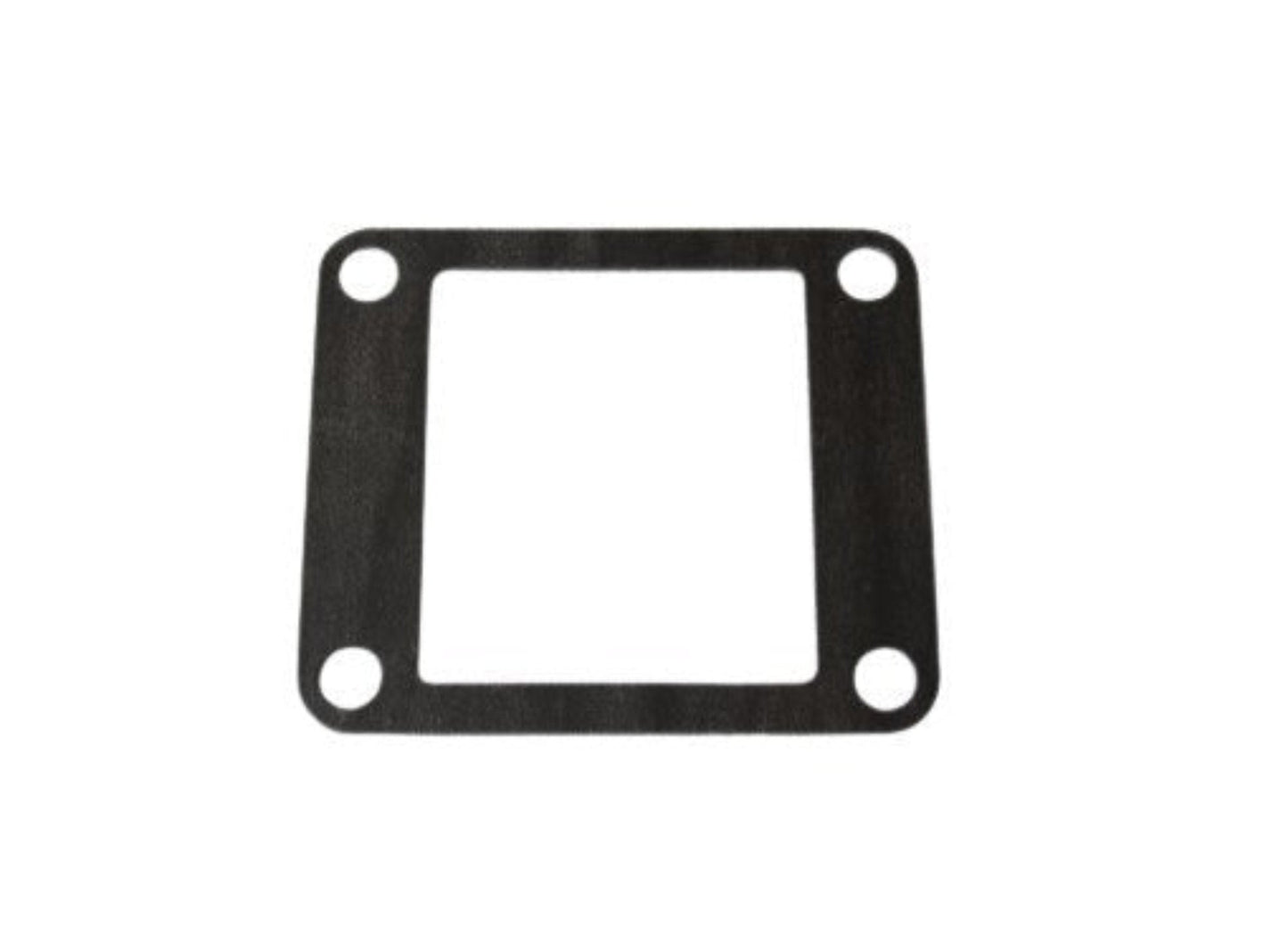 13621-LS3/RS100 (REED VALVE GASKET)