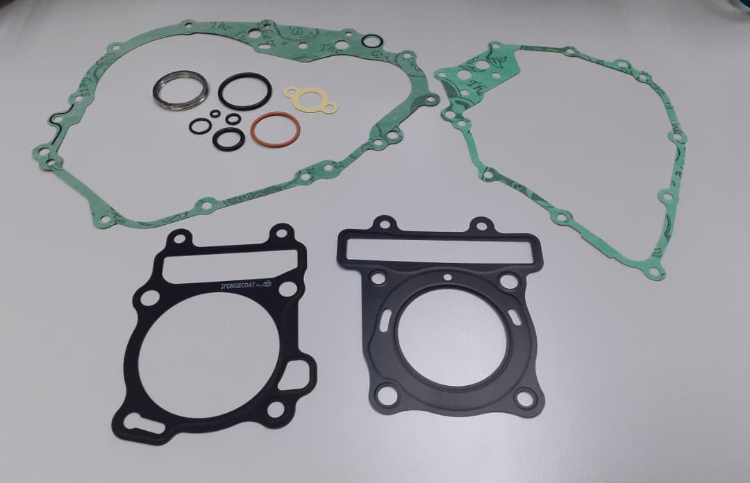 COMPLETE SET - RAIDER-FI