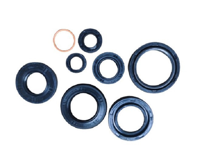 91200-125Z/R-OIL SEAL SET