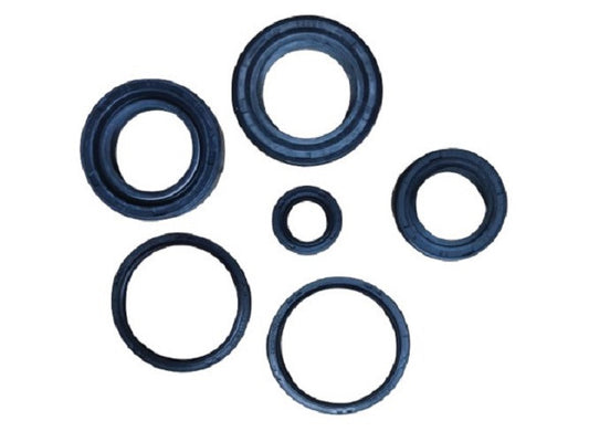 91200-ELEGAN 200-OIL SEAL SET-SN175J