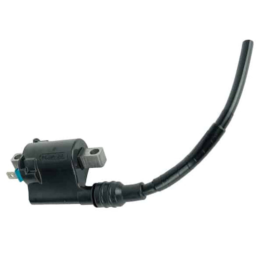 COIL COMP,IGNITION-VARIO160