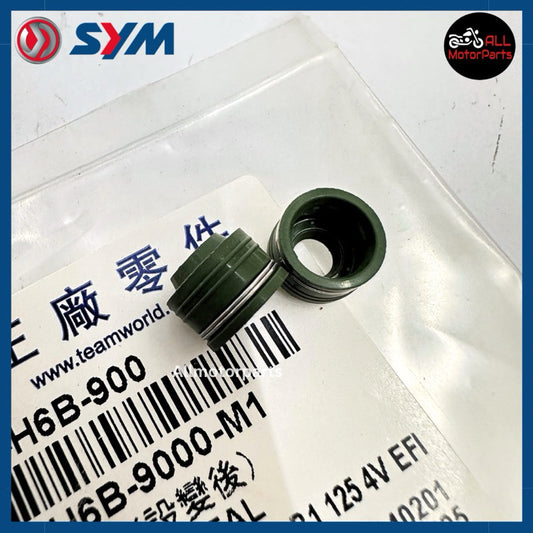 VALVE STEM SEAL-BONUS,VTS-2 PCS-SET