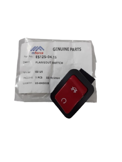 FLAMEOUT SWITCH - ES125