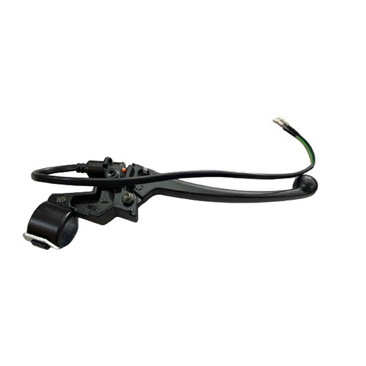 REAR BRAKE HANDLE ASSY-G125