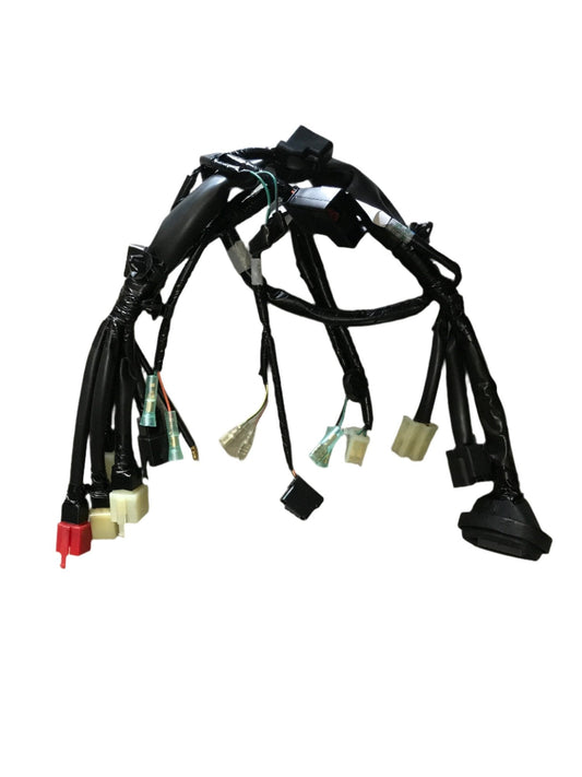 SUB HARNESS,FR-RS150R V4