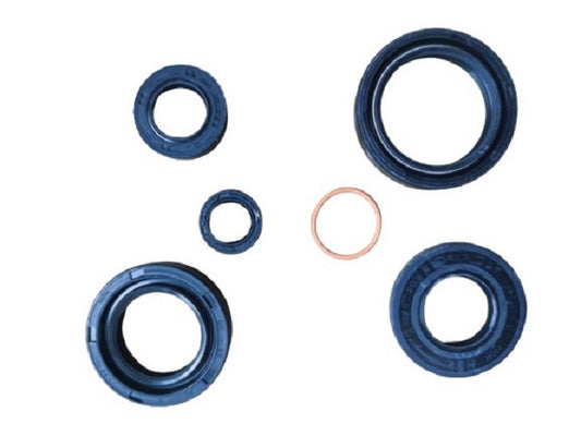 91200-Y100/Y110S-OIL SEAL SET-SS TWO