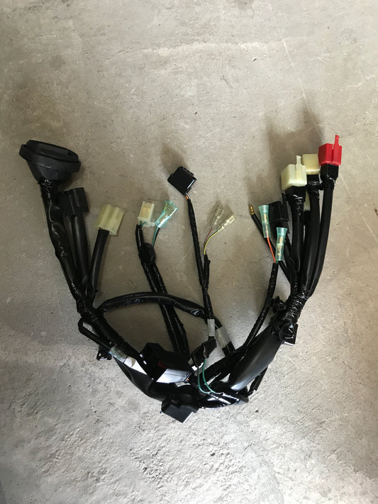 SUB HARNESS,FR-RS150R V4