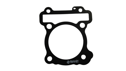 12191-EGO AVANTIZ-SC (BLOCK GASKET)