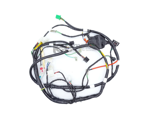 32100-ACE9-B50-HARNESS WIRE (KARISMA 125)