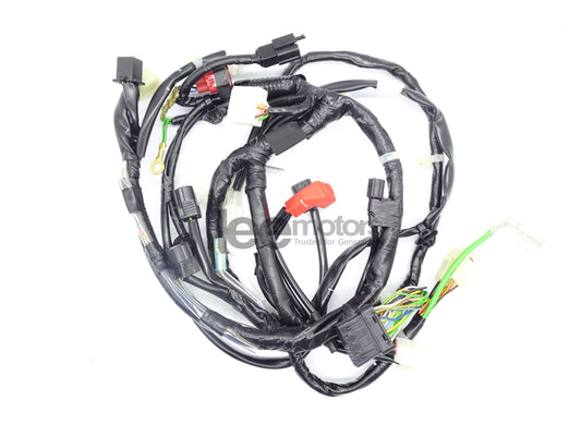 HARNESS,WIRE (DASH 125 V1-2)